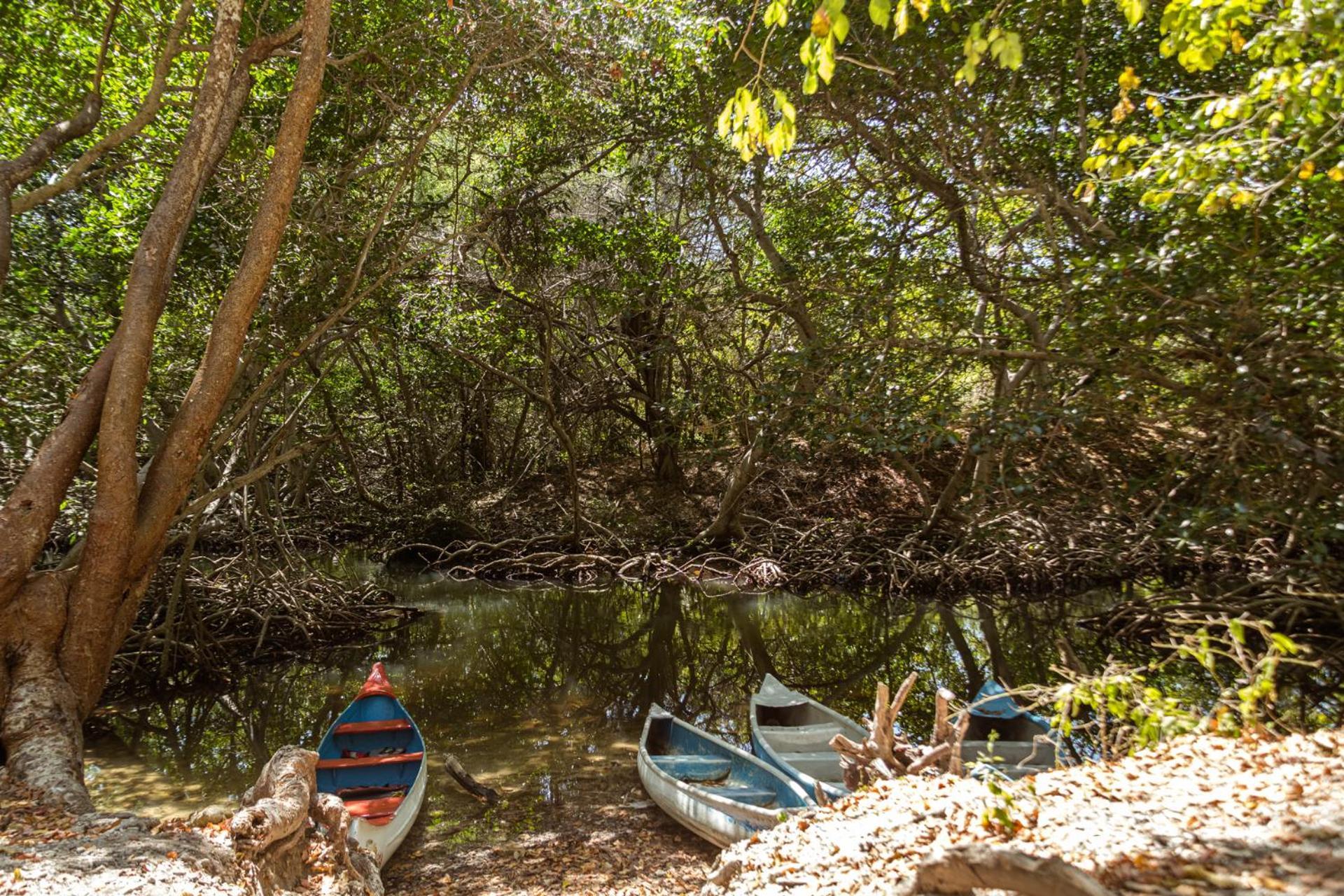 El Hamaquero Hostal Econativo Isla Grande  Bagian luar foto